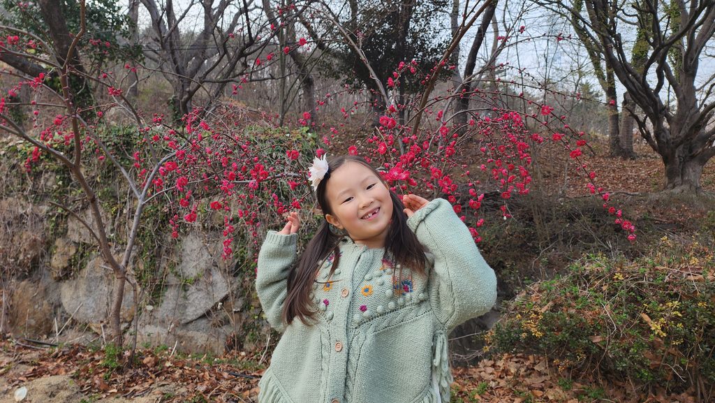 벚꽃스팟