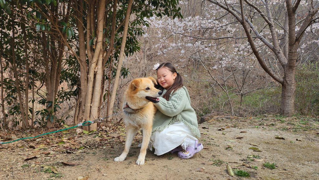 벚꽃스팟2
