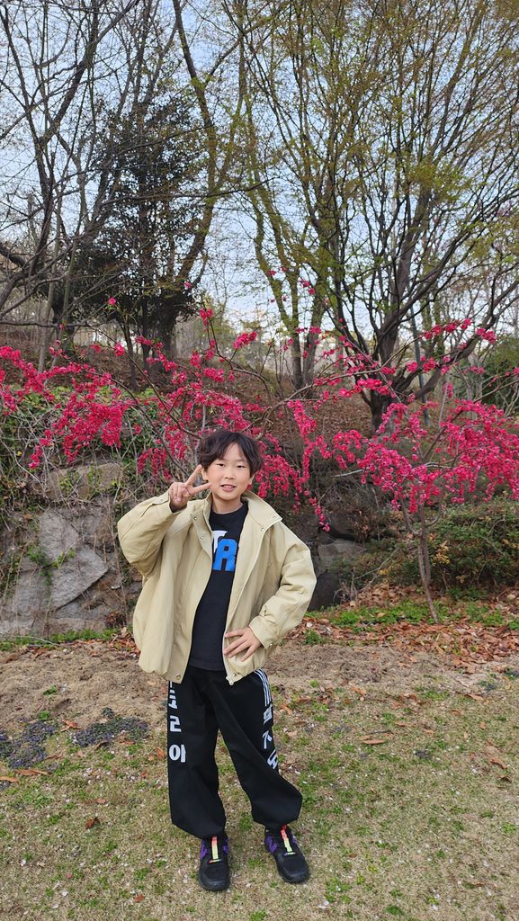 벚꽃스팟7