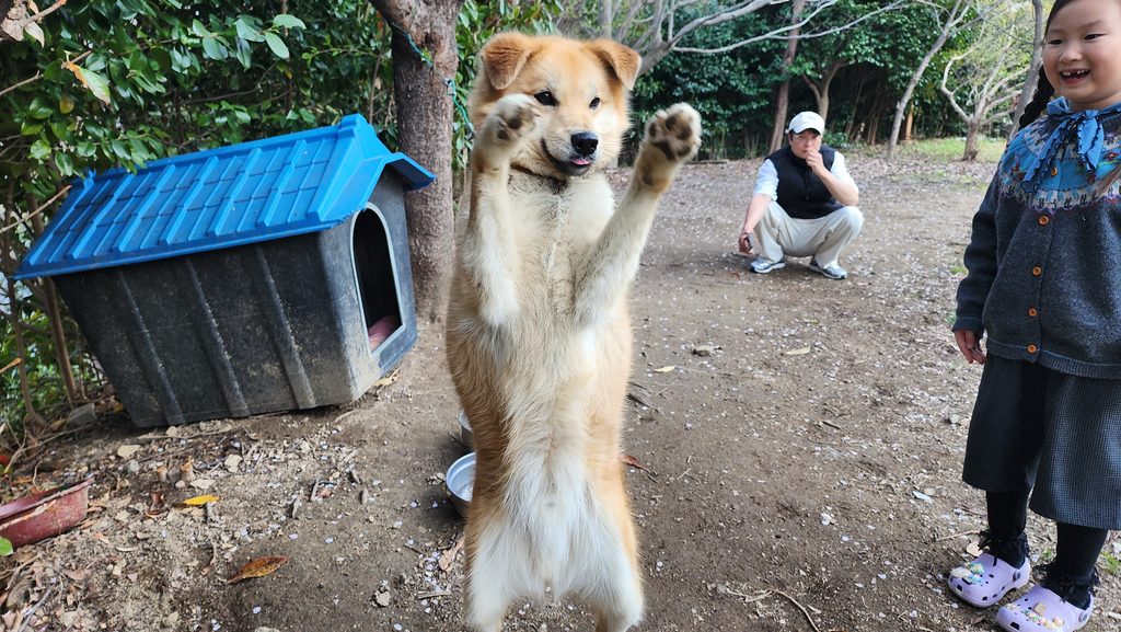 벚꽃스팟8
